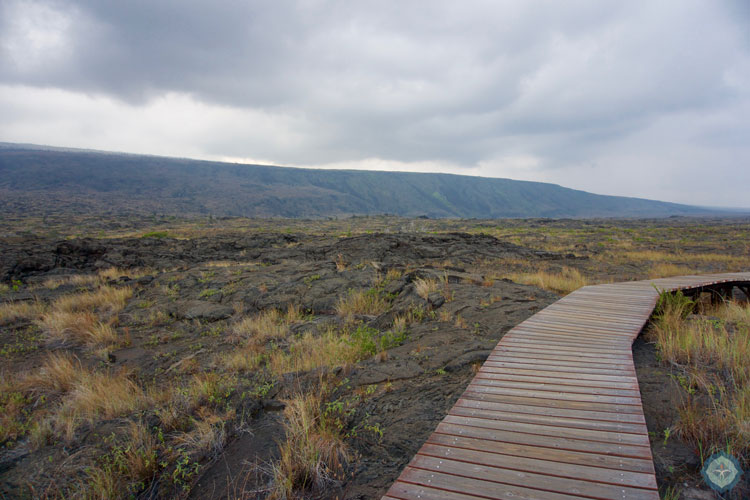 Petroglyphs