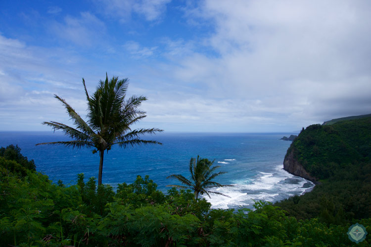 Pololu